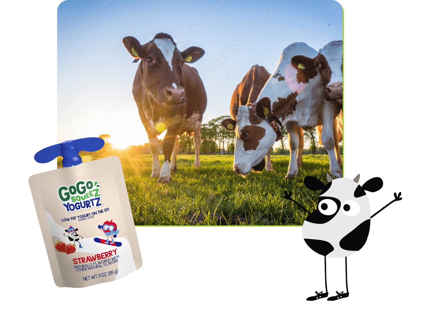 cownection-image